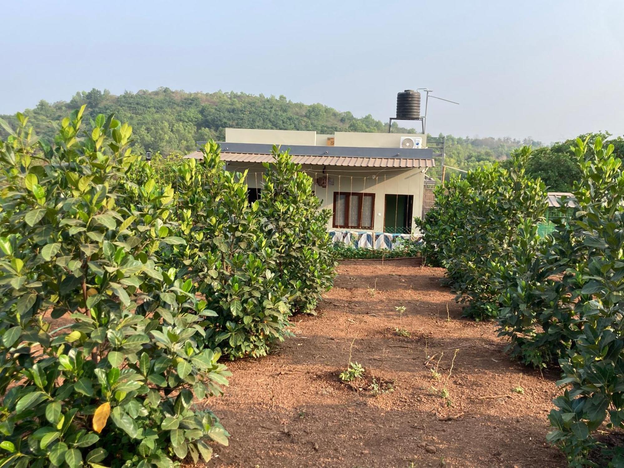 Mo'S Agro Villa Pappinisseri Ngoại thất bức ảnh